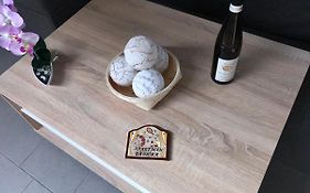 Apartmán U babičky